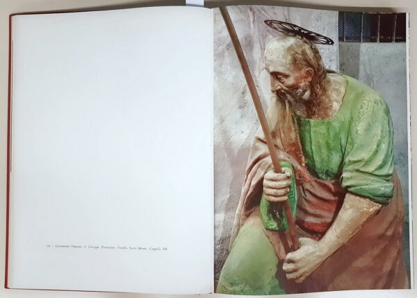 ELOGIO DELL'ARTE NOVARESE - immagine 2