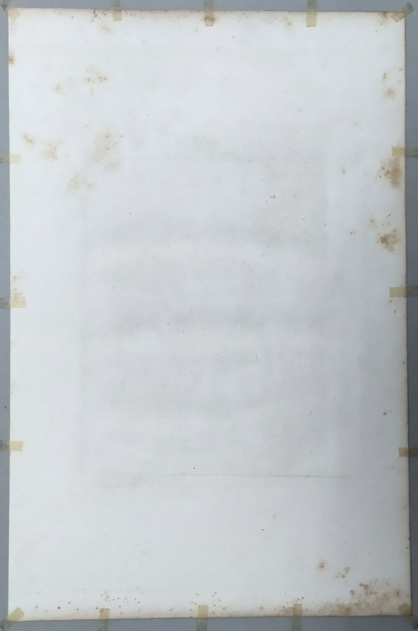 GIOVANE CON SCIMMIA SULLA SCHIENA - immagine 3